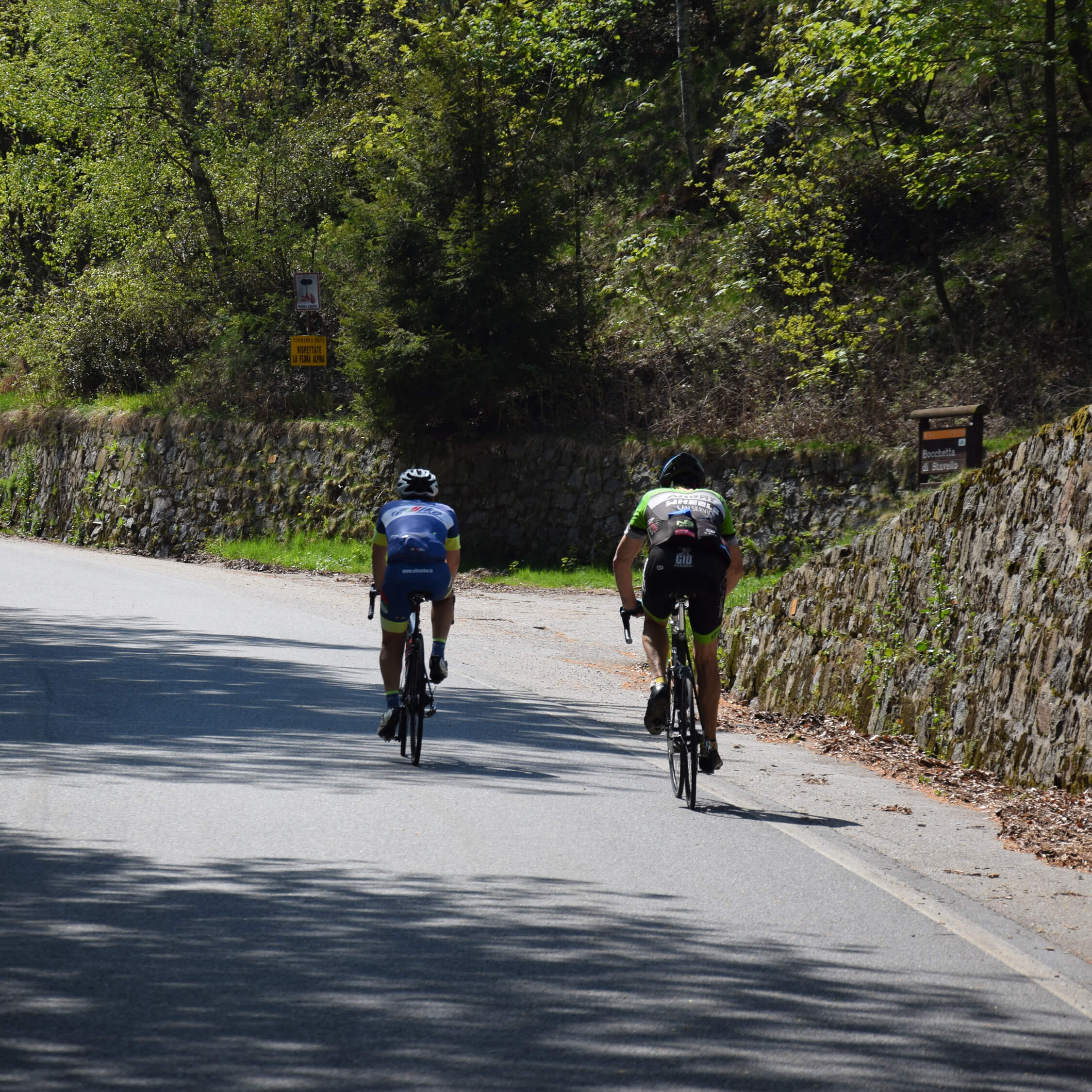 immagine bike