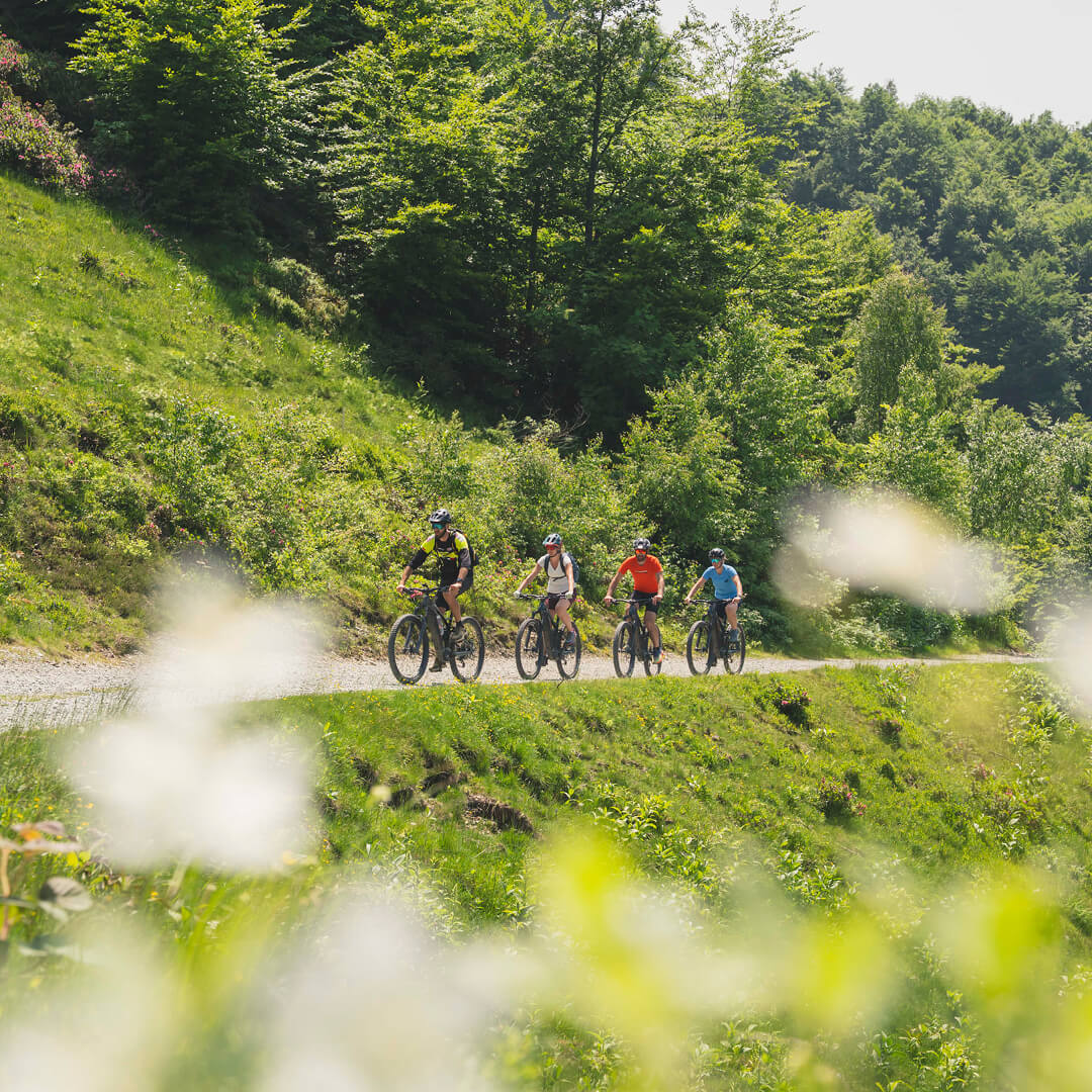 immagine e-bike