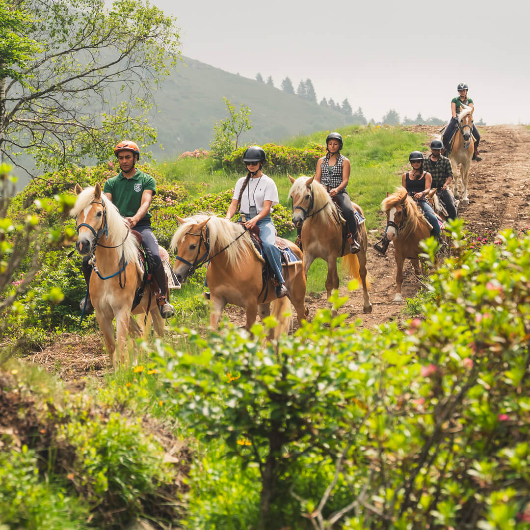 immagine equitazione eco camp