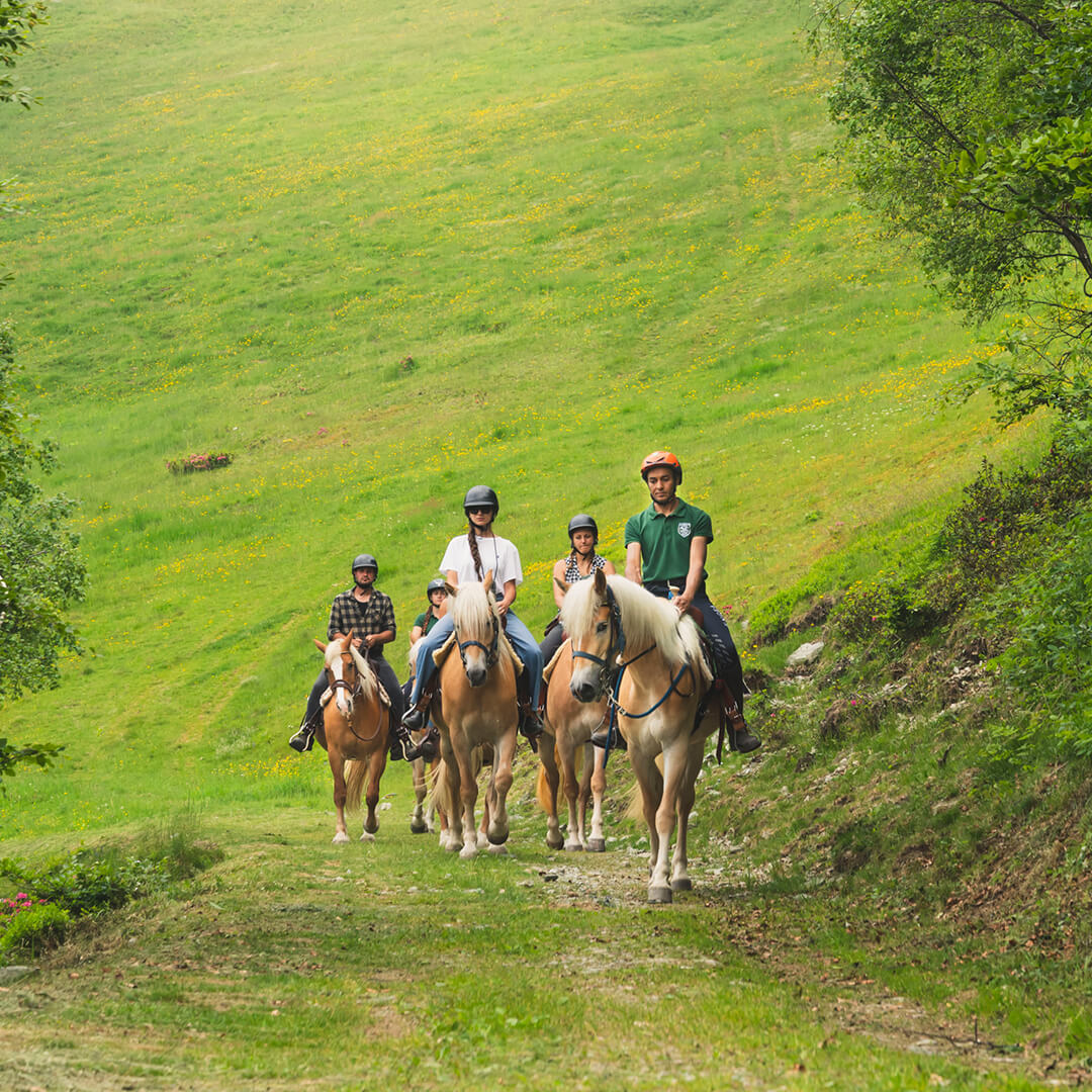 immagine equitazione passeggiate a cavallo