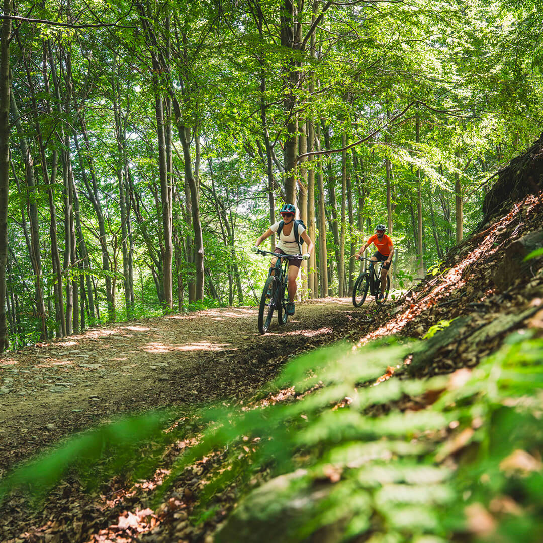 immagine skiracing mountain biking