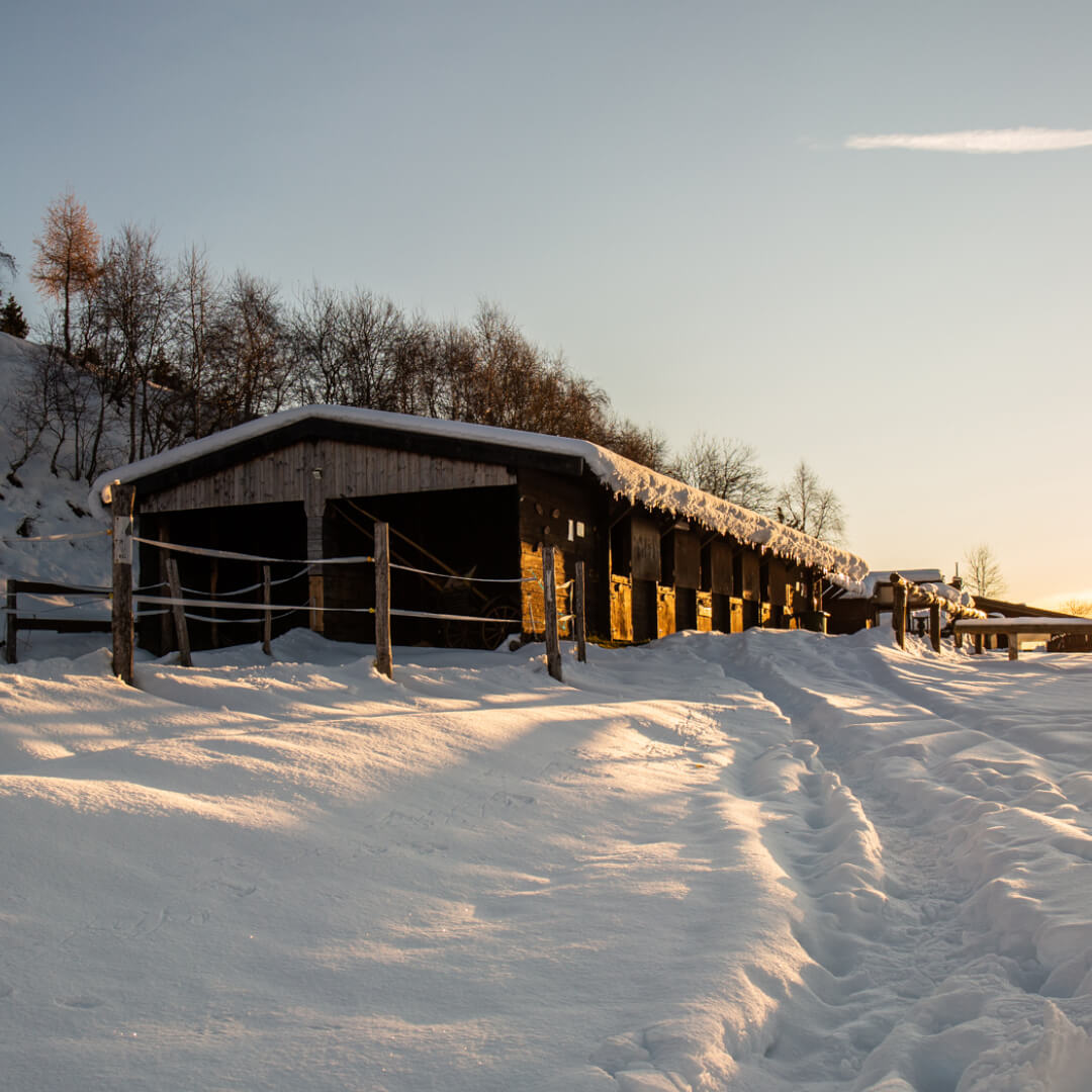 immagine struttura almaneggio