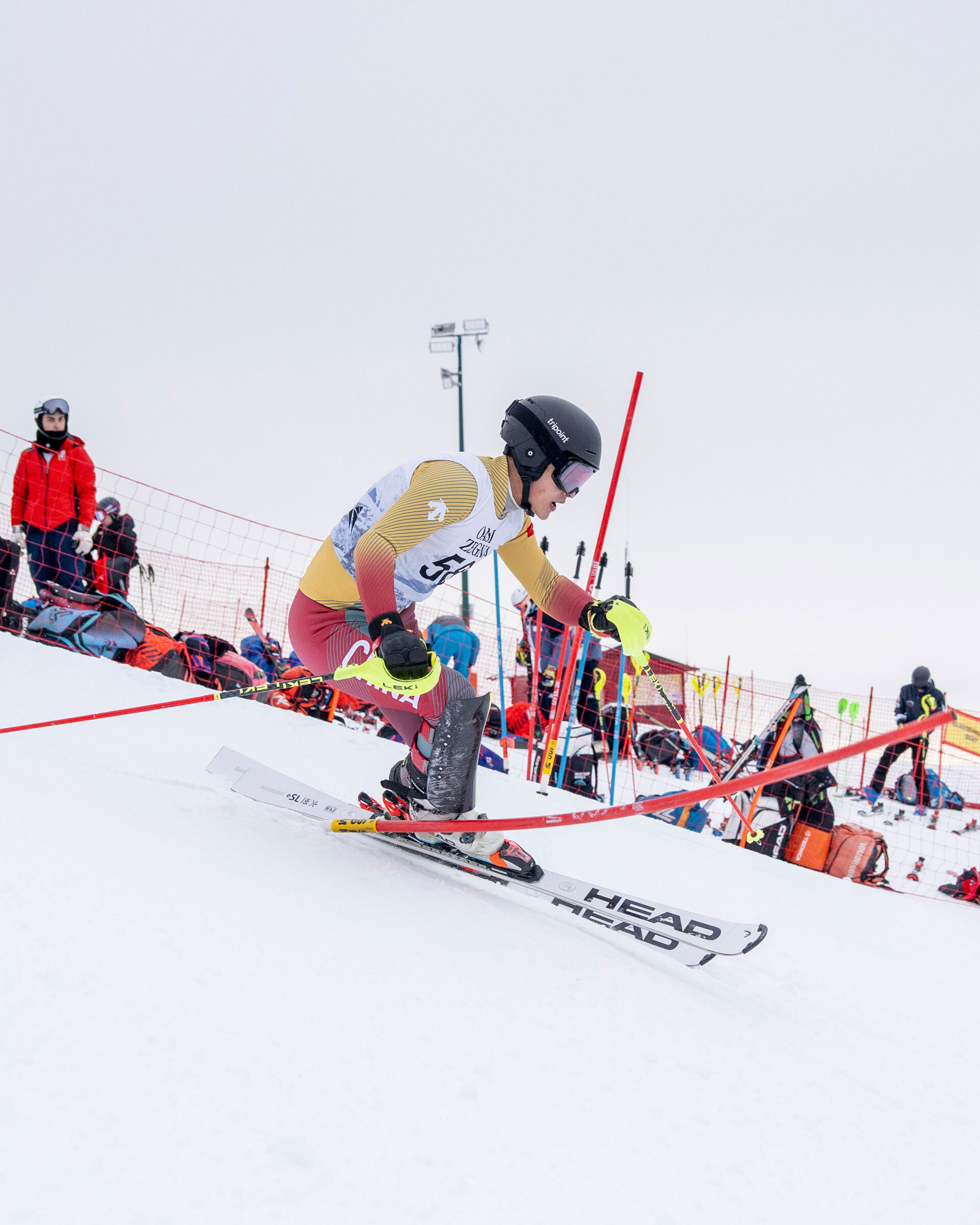 immagine chinese ski association