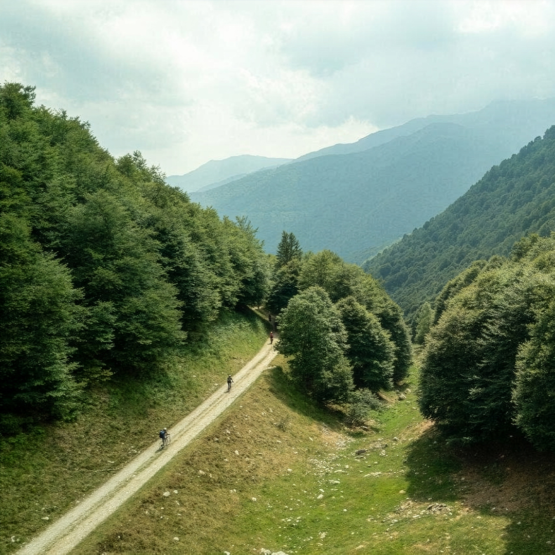 immagine panoramica zegna
